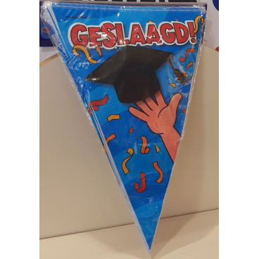 Party vlag Geslaagd blauw