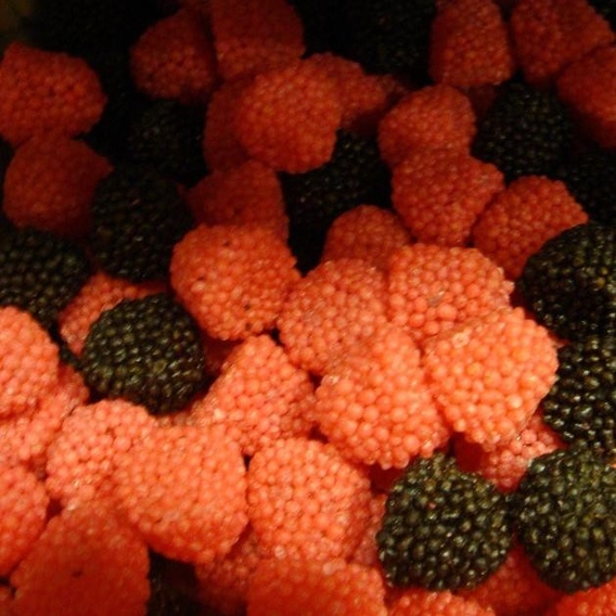 Frambozen/bramen